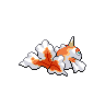 goldeen