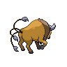 tauros