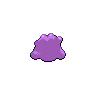 ditto