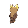 noctowl