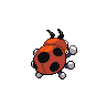 ledyba