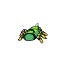 spinarak