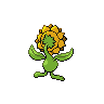 sunflora