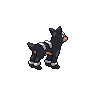 houndour