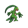 grovyle