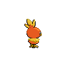 torchic