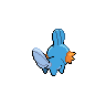 mudkip