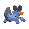swampert