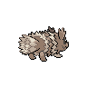 zigzagoon