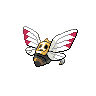 ninjask