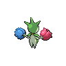 roselia