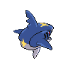 sharpedo