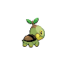 turtwig