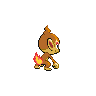 chimchar