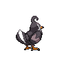 staravia
