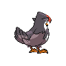 staraptor