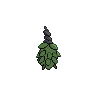 burmy