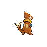 buizel