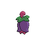 cherrim