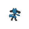 riolu