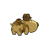 hippopotas