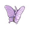 venomoth