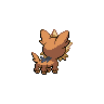 lillipup