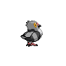 pidove