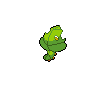 sewaddle