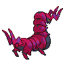 scolipede