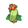 lilligant