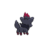 zorua