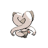 cinccino