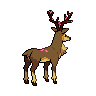 sawsbuck