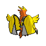 tapu-koko