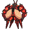 buzzwole