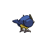 rookidee