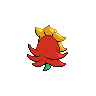 gossifleur
