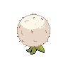 eldegoss