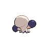 clobbopus