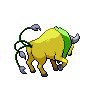 tauros