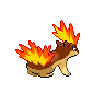 quilava