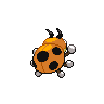 ledyba