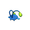 chinchou