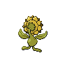 sunflora