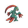 grovyle