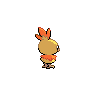 torchic
