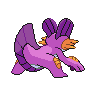 swampert