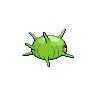 cascoon