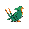 swellow